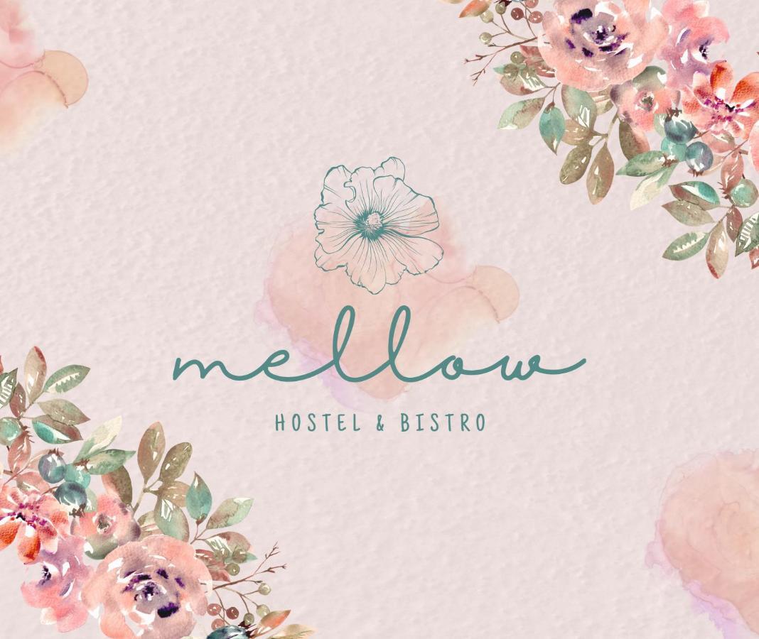 Mellow Ladies Hostel فاركَالا المظهر الخارجي الصورة